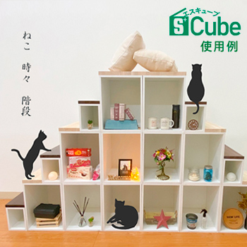 ʼǼS<sup></sup>Cube(塼֡ˡפλ/No:G-0503_022