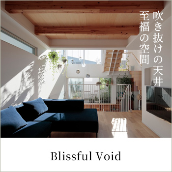 Blissful Voidƣ