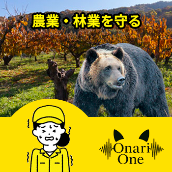 ���ȡ��ӶȤ����Onari One��/No:G-0576_004
