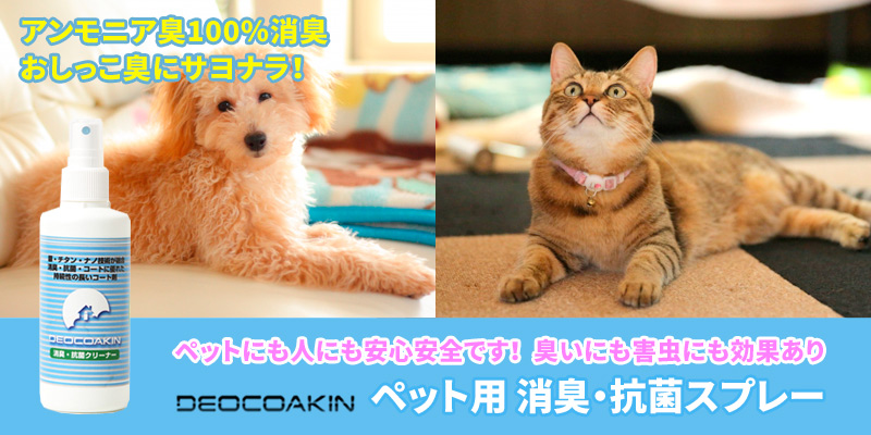 ڥåѾýݥץ졼֥ǥDC-150