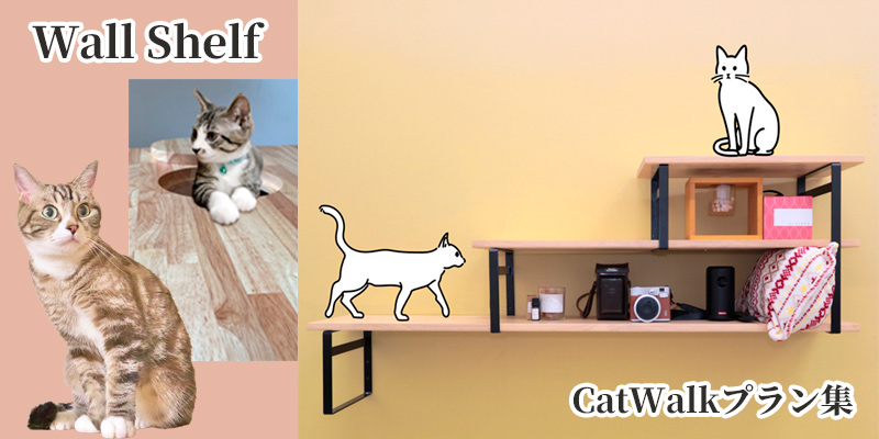 Wall ShelfפǤĤ뼫ʬ餷CatWalk