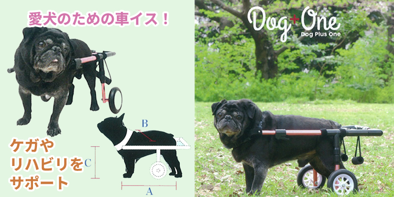 Dog + Oneɥåץ饹