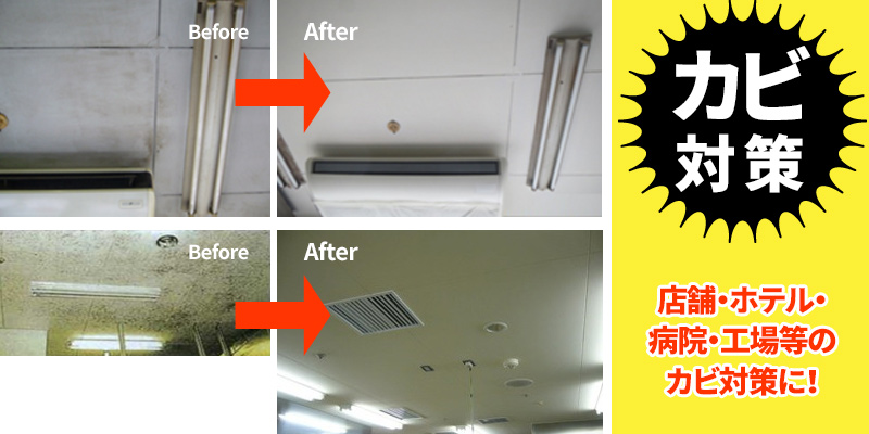 店舗・ホテル・病院・工場等のカビ対策
